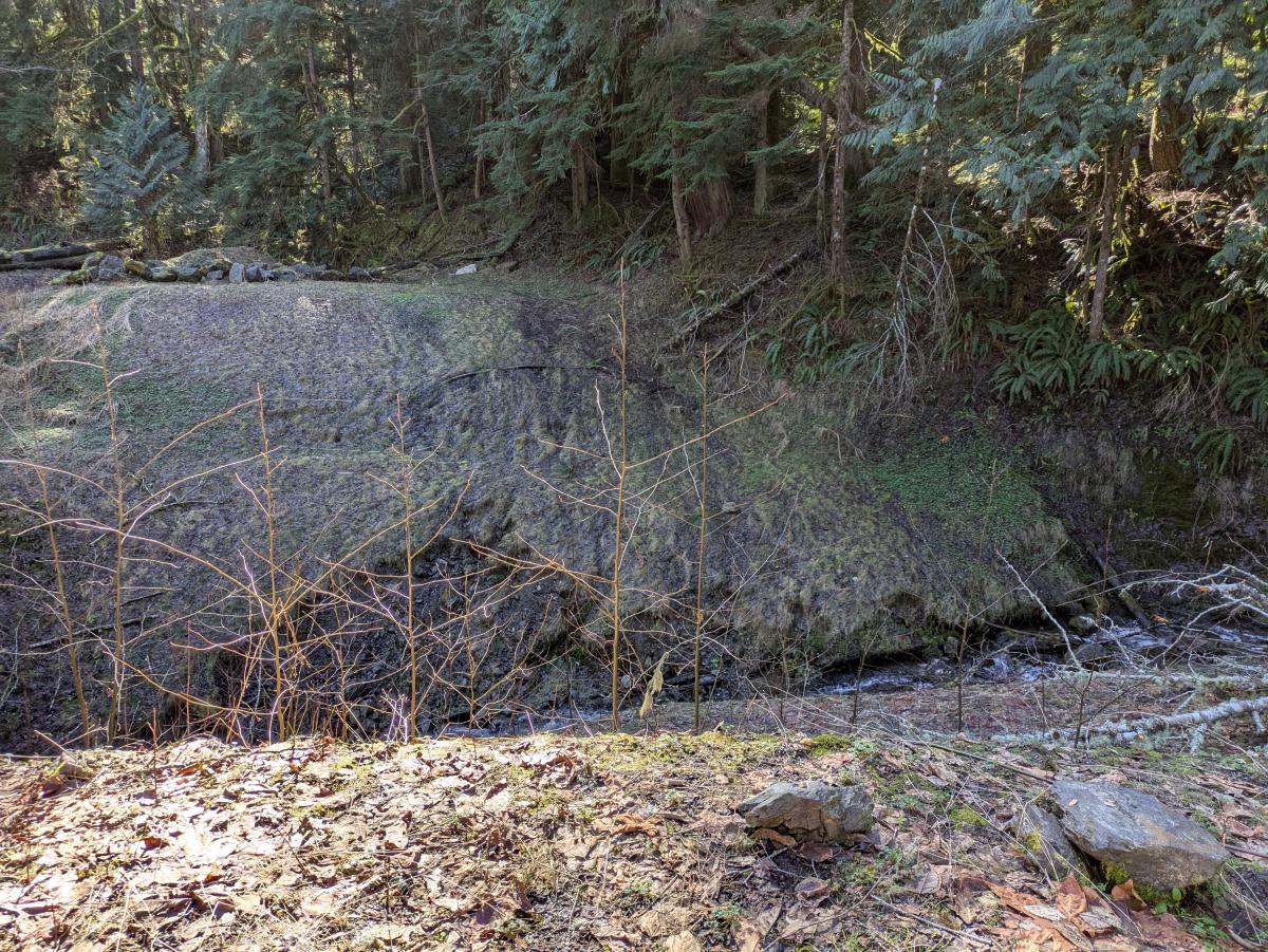 Road suddenly stopping at a muddy downslope leading to running water