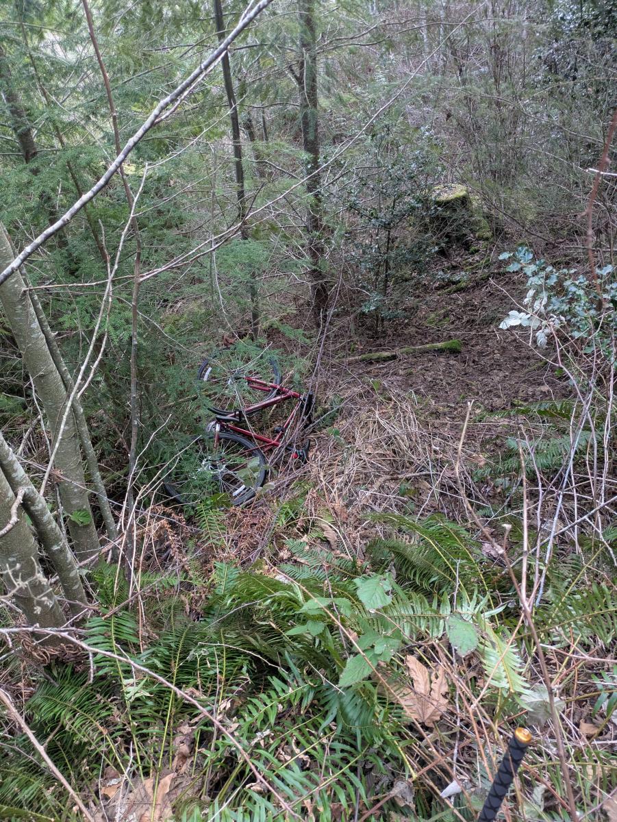 Bike tangled in thorns slightly downhill from viewer