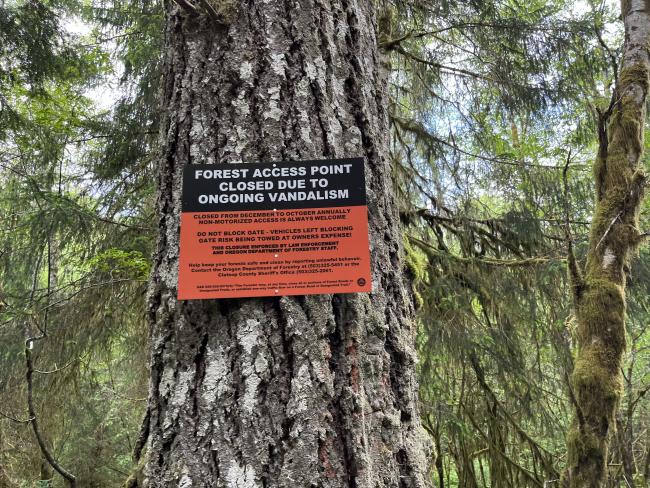 Sign mounted to a tree reading that access is closed December to October