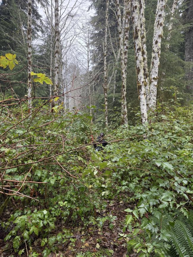 Two men navigating an overgrown trail