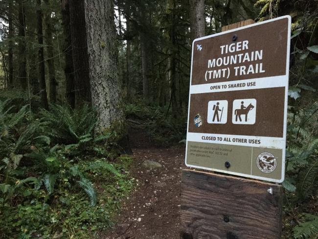 Sign for Tiger Mountain (TMT) Trail with trail, ferns, and tree trunks.