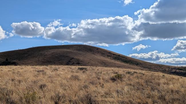 Firebreak visible on Round Top Butte