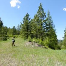 Turning Left at the "Y" in the saddle on the North side of the summit