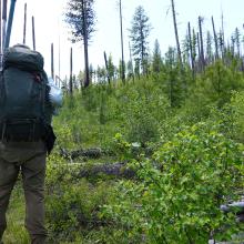 Typical example of off-trail bushwack portion