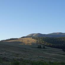 View of final portion of road heading towards trailhead