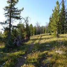 The initial portion of the hike on an ATV road