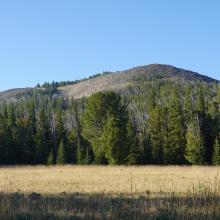 Trail becomes vague in this meadow.  Cross meadow to treeline, find old trail if possible, then eventually bushwack to the forested swale on the east (left) side of the summit
