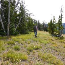 Hiking Down Upper Edge of Meadow