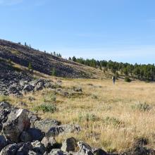 Nice meadow on west side of summit