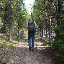 Returning on Old Logging Road