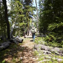Approaching large meadow on the descent along the old ATV road