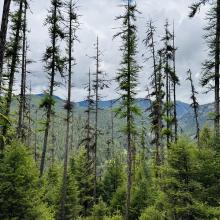 View to the north on the way down 