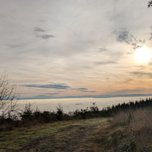 Willamette Valley in the morning