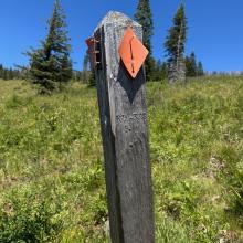 Trail marker back to trailhead at fork