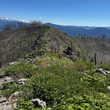 View of the main ridge backwards from the AZ
