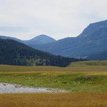 W7M/CL-082 from just south of Bean Lake