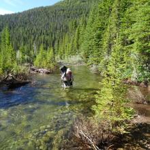 Fording the Dearborn on the Blacktail Creek trail