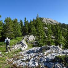 Mid portion of ridge