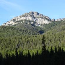 Patrol Mountain from Straight Creek Trail
