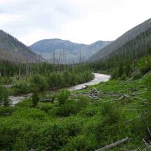North Fork of the Blackfoot River - Heading North