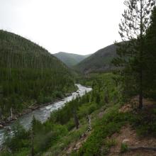 The North Fork of the Blackfoot - nearing the Trailhead on the return
