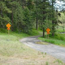 Signs Indicating that the road is washed out further ahead (beyond and on a different fork than the Sugarloaf TH)