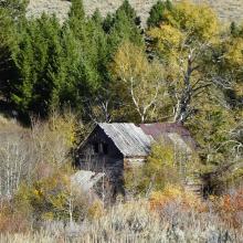 Castle - Old Mining Camp Building