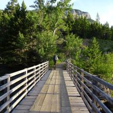 Dearborn River packbridge