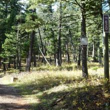 Beginning of ATV Trail