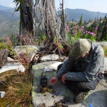 Dinner time at Buck Lake
