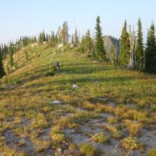 Heading up from Grave Meadow