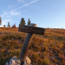 Moose-Shearer/Ditch Trail Junction Near Camp