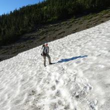 A lingering snow patch along trail
