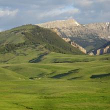 The Rocky Mountain Front & Charolais Cattle from the Benchmark Road