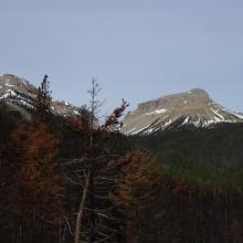 Crown Mountain - W7M/CL-030