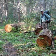 Finally reached cleared trail after a long bushwack