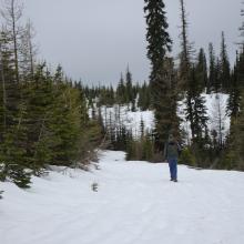 Hiking along the road to the trailhead