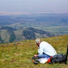 Nice grassy activation spot