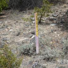 Forest boundary stake