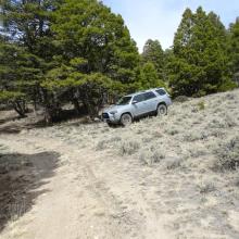 Parking spot a short distance past the old car