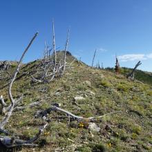 Trail along south summit ridge