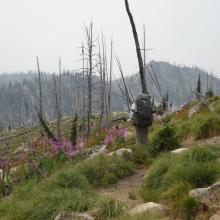 Hiking along ridge west towards Buck Lake