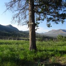 Bear Creek Trail Junction