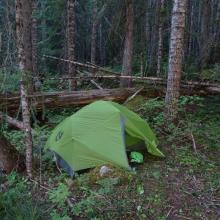 Buck Lake Creek camp