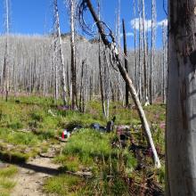 Getting some water below Wylies