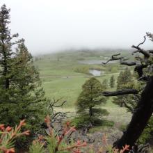 Trailhead from the North Ridge of McCarty Hill
