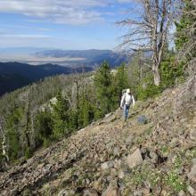 Rounding the false summit