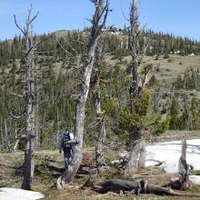 The final ridge - summit in background