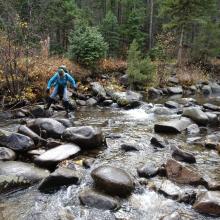 Crossing Basin Creek