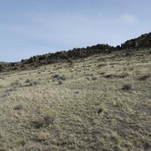 Cow path crosses lower left side of rocky ridge